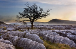 Ingleborough at dawn from Twistleton Scars in the Yorkshire Dales
